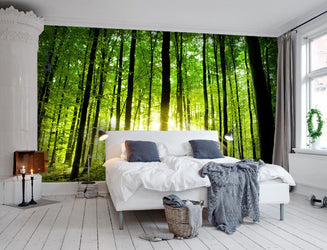 PVC Fototapete Beautiful Green Forest – ECO Wandbild Selbstklebende Tapete – 3D Vinyl Wandsticker XXL  SW243 - life-decor.de