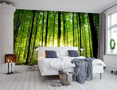 PVC Fototapete Beautiful Green Forest – ECO Wandbild Selbstklebende Tapete – 3D Vinyl Wandsticker XXL  SW243 - life-decor.de
