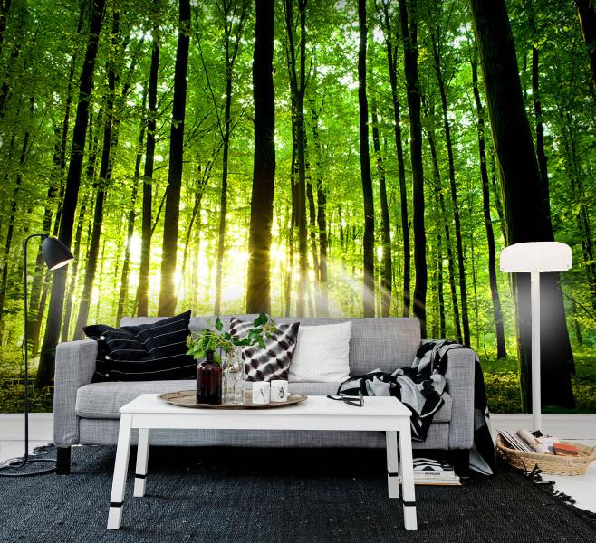 PVC Fototapete Beautiful Green Forest - ECO Wandbild Selbstklebende Tapete - 3D Vinyl Wandsticker XXL  SW243