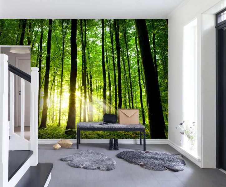 PVC Fototapete Beautiful Green Forest - ECO Wandbild Selbstklebende Tapete - 3D Vinyl Wandsticker XXL  SW243