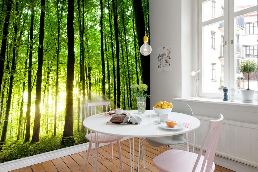 PVC Fototapete Beautiful Green Forest - ECO Wandbild Selbstklebende Tapete - 3D Vinyl Wandsticker XXL  SW243