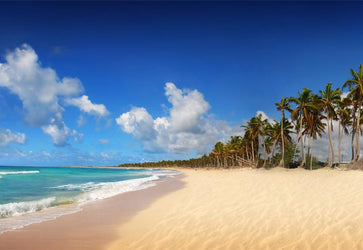 PVC Fototapete Tropical Exotic Beach – ECO Wandbild Selbstklebende Tapete – 3D Vinyl Wandsticker XXL  SW335 - life-decor.de