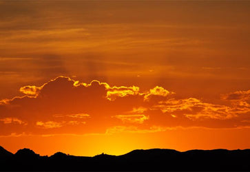 PVC Fototapete Desert Sunset – ECO Wandbild Selbstklebende Tapete – 3D Vinyl Wandsticker XXL  SW316 - life-decor.de