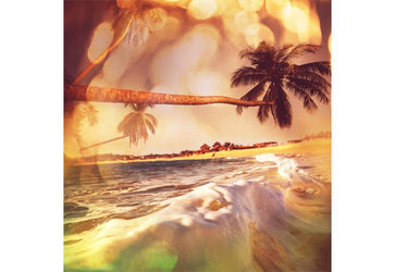 PVC Fototapete Tropical Beach – ECO Wandbild Selbstklebende Tapete – 3D Vinyl Wandsticker XXL  SW288 - life-decor.de