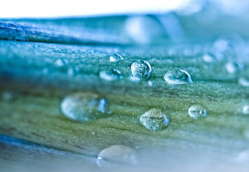 PVC Fototapete Water Drop – ECO Wandbild Selbstklebende Tapete – 3D Vinyl Wandsticker XXL  SW201 - life-decor.de