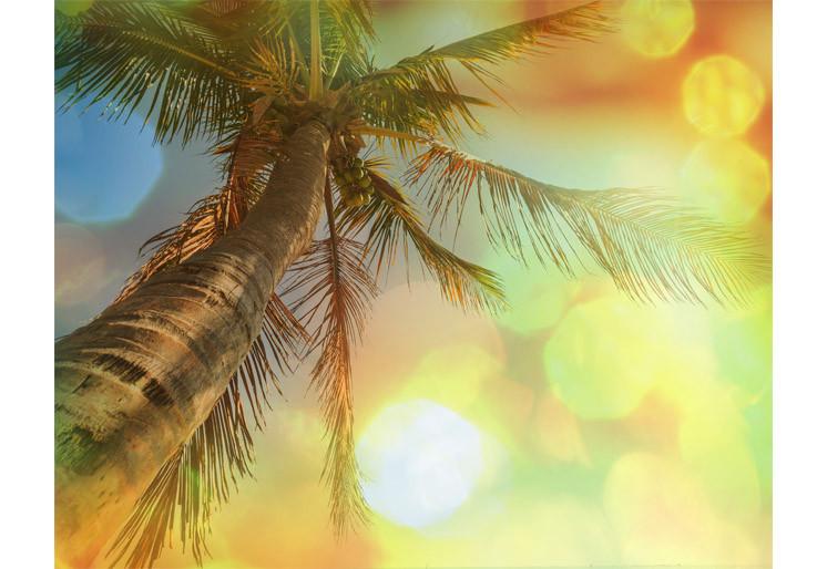 PVC Fototapete Tropical Beach - ECO Wandbild Selbstklebende Tapete - 3D Vinyl Wandsticker XXL  SW286