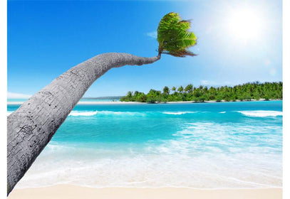 PVC Fototapete Tropical Paradise – ECO Wandbild Selbstklebende Tapete – 3D Vinyl Wandsticker XXL  SW208 - life-decor.de