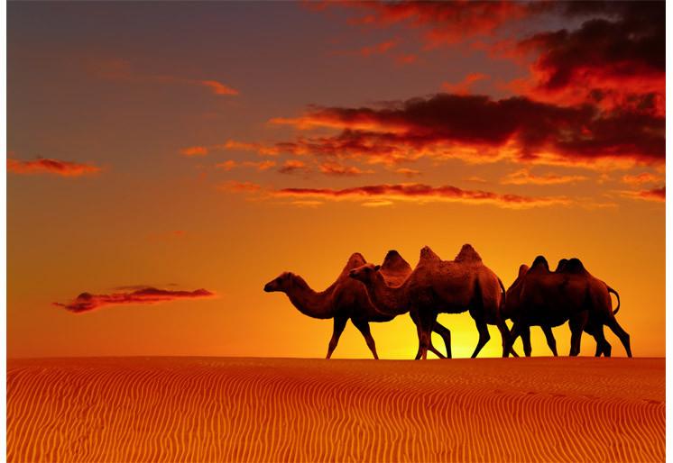 PVC Fototapete Desert Fantasy – ECO Wandbild Selbstklebende Tapete – 3D Vinyl Wandsticker XXL  SW300 - life-decor.de