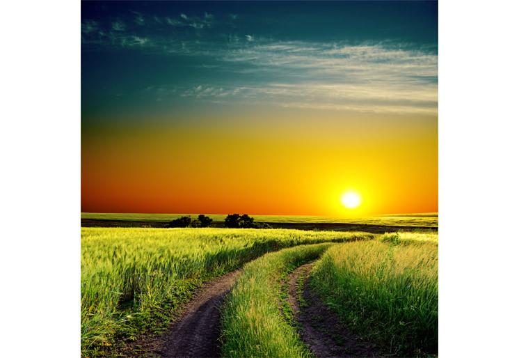 PVC Fototapete Good Sunset – ECO Wandbild Selbstklebende Tapete – 3D Vinyl Wandsticker XXL  SW231 - life-decor.de