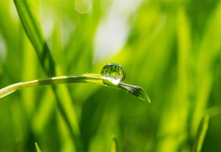 PVC Fototapete Drop – ECO Wandbild Selbstklebende Tapete – 3D Vinyl Wandsticker XXL  SW260 - life-decor.de