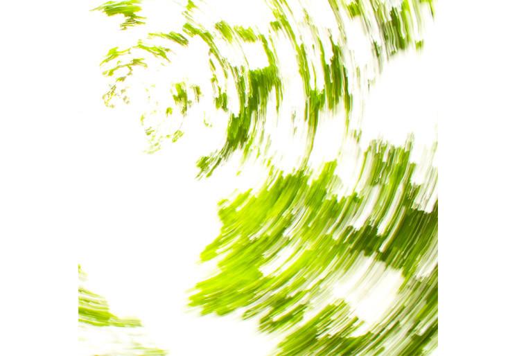 PVC Fototapete Green Abstract – ECO Wandbild Selbstklebende Tapete – 3D Vinyl Wandsticker XXL  SW250 - life-decor.de