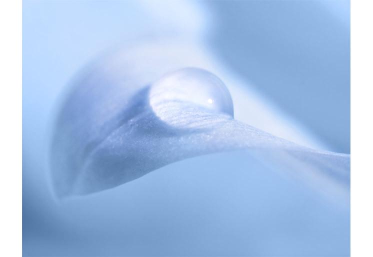 PVC Fototapete Macro Drop – ECO Wandbild Selbstklebende Tapete – 3D Vinyl Wandsticker XXL  SW272 - life-decor.de