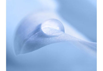 PVC Fototapete Macro Drop – ECO Wandbild Selbstklebende Tapete – 3D Vinyl Wandsticker XXL  SW272 - life-decor.de