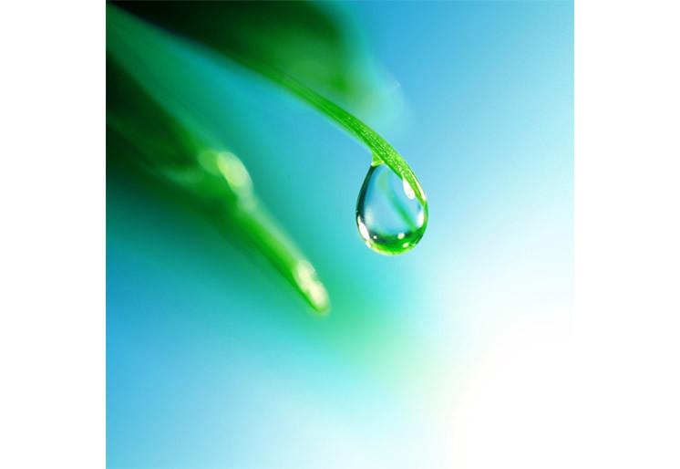 PVC Fototapete Shine Water Drop - ECO Wandbild Selbstklebende Tapete - 3D Vinyl Wandsticker XXL  SW217