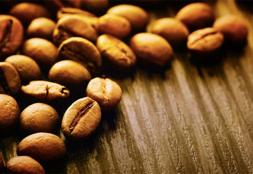 PVC Fototapete Coffee Beans – ECO Wandbild Selbstklebende Tapete – 3D Vinyl Wandsticker XXL  SW257 - life-decor.de