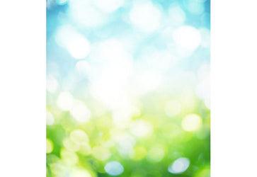 PVC Fototapete Nature Blur – ECO Wandbild Selbstklebende Tapete – 3D Vinyl Wandsticker XXL  SW242 - life-decor.de