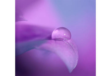 PVC Fototapete Macro Drop II – ECO Wandbild Selbstklebende Tapete – 3D Vinyl Wandsticker XXL  SW267 - life-decor.de