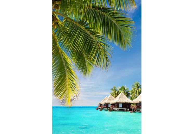 PVC Fototapete Palm Tree – ECO Wandbild Selbstklebende Tapete – 3D Vinyl Wandsticker XXL  SW336 - life-decor.de