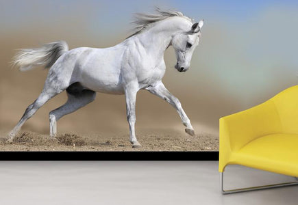 PVC Fototapete Horse In Run – ECO Wandbild Selbstklebende Tapete – 3D Vinyl Wandsticker XXL  SW001 - life-decor.de